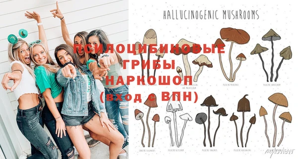 индика Киренск