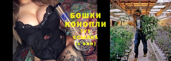 индика Киренск