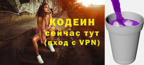индика Киренск