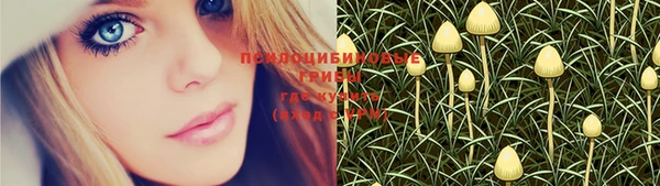 индика Киренск